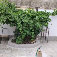 فروش خانه ویلایی ۱۱۰متری ۱ خوابه درشهرک امام خمینی|فروش خانه و ویلا|اصفهان, شهرک امام خمینی|دیوار