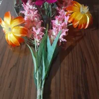 ۱۲شاخه گل به قیمت توافقی