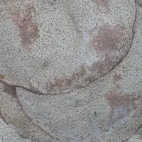 نون خشک خونگی با آرد بومی