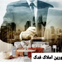 کارشناس بازدید ملک در دفتر املاک بزرگمهر