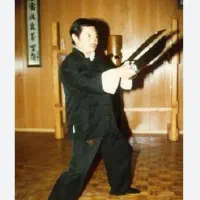 آموزش هنر های رزمی وینگ چون