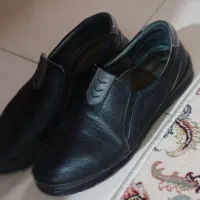 کفش زنانه درحدنو.شهرک وحدت