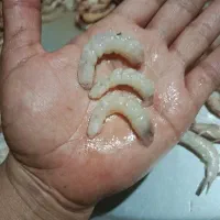 میگو ماهی تازه آبادان ارسال به شهرستان|خوردنی و آشامیدنی|تهران, مختاری|دیوار