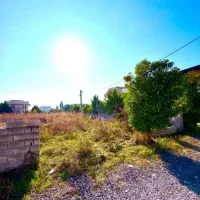 ویلانقلیتوتومنطقه-جنگلی-شمال-بساز-با50میلیون-بیانه