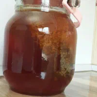 عسل جنگلی ویژه|خوردنی و آشامیدنی|مشهد, احمدآباد|دیوار