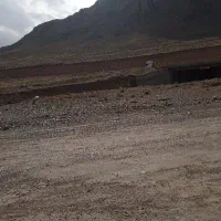 اکیپ دسته کارگردارم برای تولک کاشتن پیاز