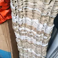 شانه تخم مرغ