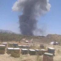 عسل طبیعی