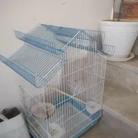 قفس پرنده