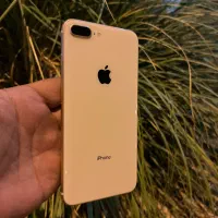 ۸پلاس گلدفابریک