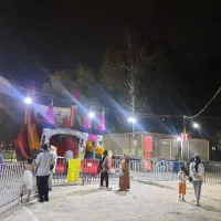 نیروی کار