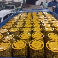 پخش عمده زیتون سوپر ویژه|خوردنی و آشامیدنی|تهران, میدان میوه و ترهبار مرکزی|دیوار