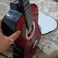 گیتار نو بفروش میرسد