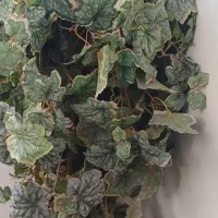 گلدون|گل مصنوعی|تهران, طیب|دیوار