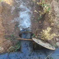 باغ انگوربیدانه درضیااباد