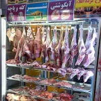 یخچال مرغ یخچال قصابی یخچال ایستاده یخچال ماهی