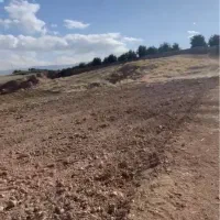 زمین مجوزدار برای دامداری و گلخانه