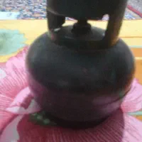 پیکنیک سالم