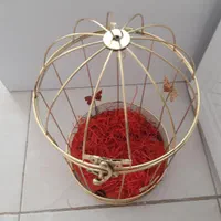 قفسه طلایی (آویز گل)|صنایع دستی و سایر لوازم تزئینی|فولادشهر, مسکن مهر فولادشهر|دیوار