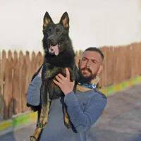 تربیـت حرفه ای سگ ۱۲ فرمان طـلایـی /مربی سگ