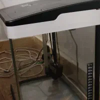 آکواریوم|ماهی|رشت, استادسرا|دیوار