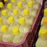 ابلیمو بومی