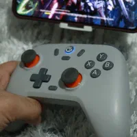 دسته بازی گیمسر Gamesir مدل T4N Lite|کنسول، بازی ویدئویی و آنلاین|شهریار, شهریار|دیوار