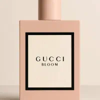 گوچی بلوم ۱۰۰ میل