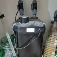 آکواریوم|ماهی|کوهدشت, |دیوار