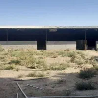 زمین ۱۵۰۰ متری گلشن آباد زیر قیمت کارشناسی|فروش زمین و ملک کلنگی|کویرات, |دیوار