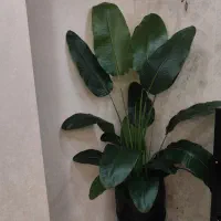 گل مصنوعی بزرگ