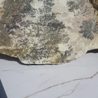 انواع نگین شجر و تسبیح سندلوس پیازی