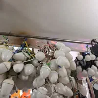 اجاره ریسه .. پرژکتور|ریسه و چراغ تزئینی|نسیم‌شهر, |دیوار