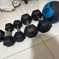 دنبل