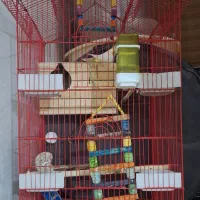 قفس پرنده مدل خانه سایز بزرگ