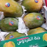 ارسال میوه و تره بار ، خشکبار از شیراز