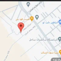 عروس هلندی گمشده ماده در شهریار ۴تیرماه|حیوانات|شهریار, شهریار|دیوار