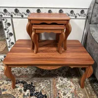 میز وسط و دوتا گل میز