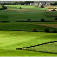 ۲۱ جریب زمین زراعی