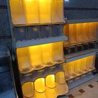 تولید کننده استند مکانیزه آجیل حبوبات قفسه مغازه|فروشگاه و مغازه|کرمانشاه, |دیوار