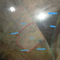 زمین دیمی در روستای صومعه سفلی