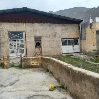 دامداری ۳۰۰ راسی گوسفند