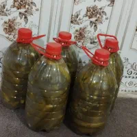 فروش خیارشور