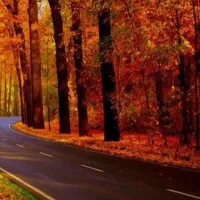 تور گروهی ساحل بابلسر .دریاچه الیمالات .نور|تور و چارتر|نیشابور, امین اسلامی|دیوار