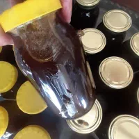 عسل زنبور عسل طبیعی کوهستان روغن حیوانی پنیر کوزه|خوردنی و آشامیدنی|تهران, آرژانتین|دیوار