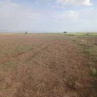 زمین کشاورزی