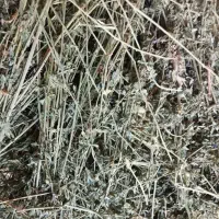 یونجه خردشده وپرس|حیوانات مزرعه|سپیدان, |دیوار