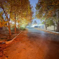 زمین چهار باغ