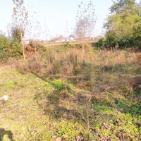 فروش 350متر زمین مسکونی