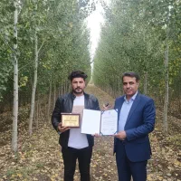 فروش صنوبر گرمی، بهترین انتخاب برای مناطق گرمسیر|خدمات باغبانی و درختکاری|گرمی, |دیوار